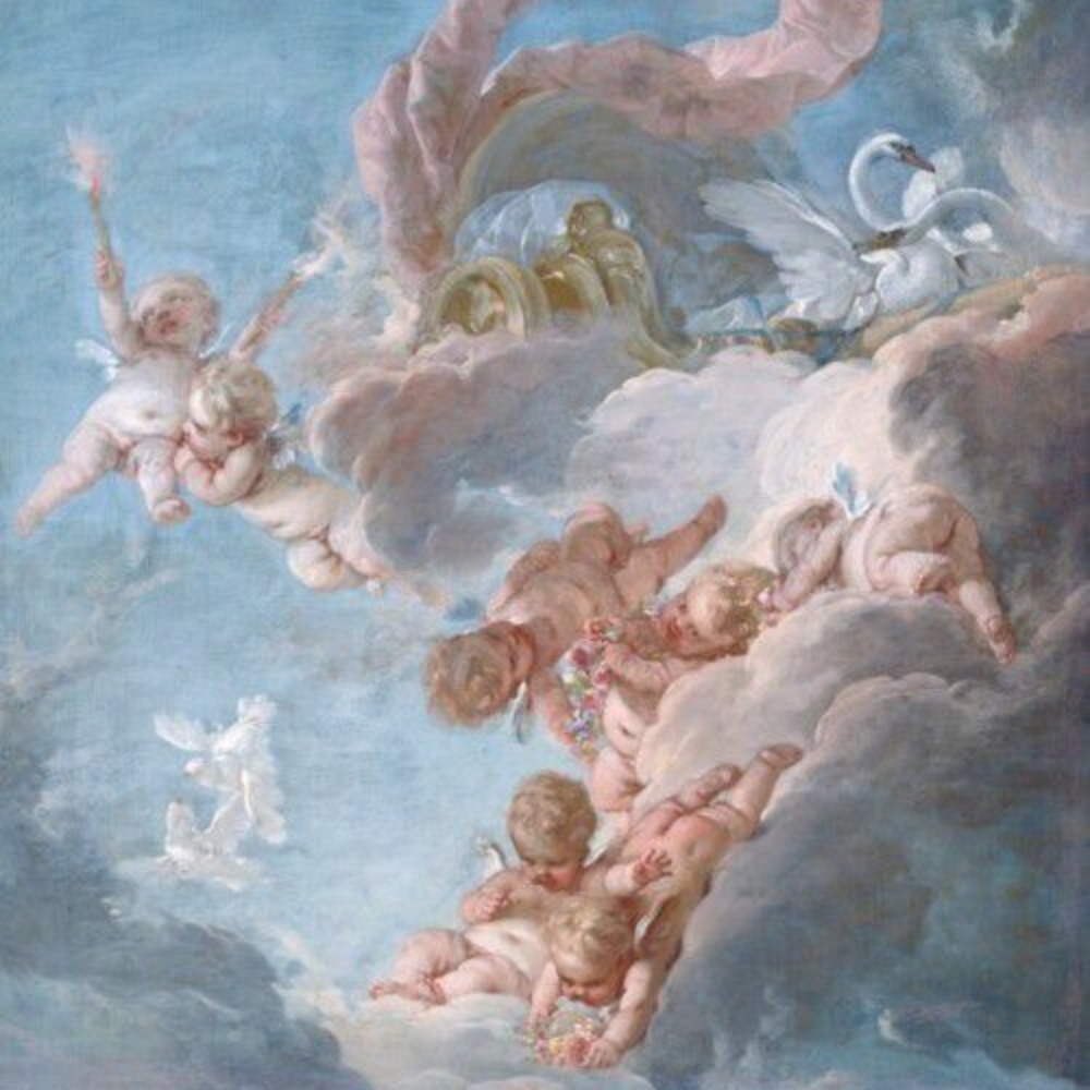 Meet your Posher, Rosy